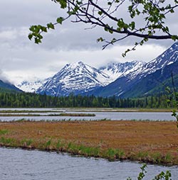Tern Lake