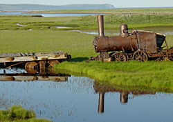 Locomotive in limbo