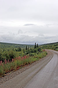 Approaching Council